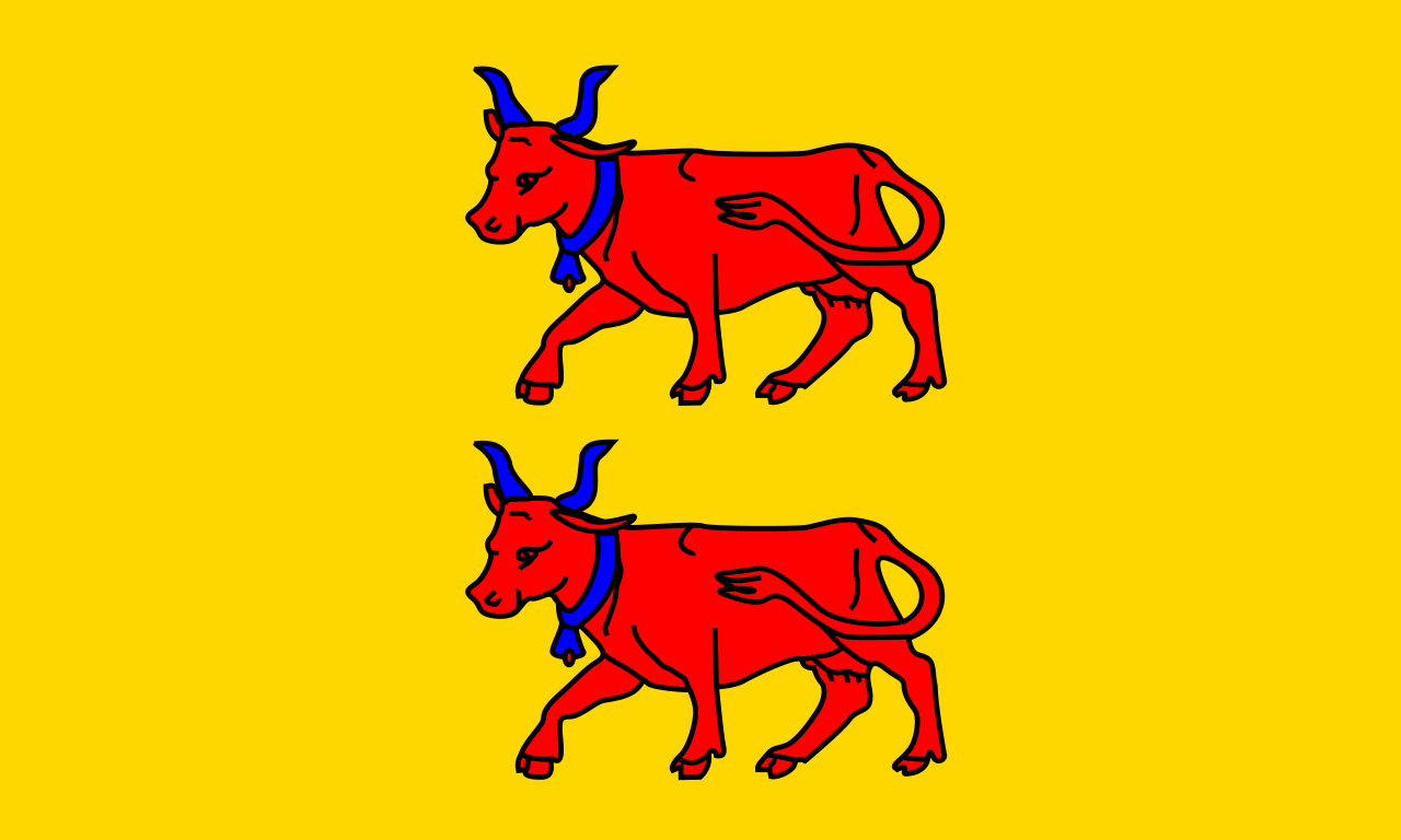 Drapeau béarnais